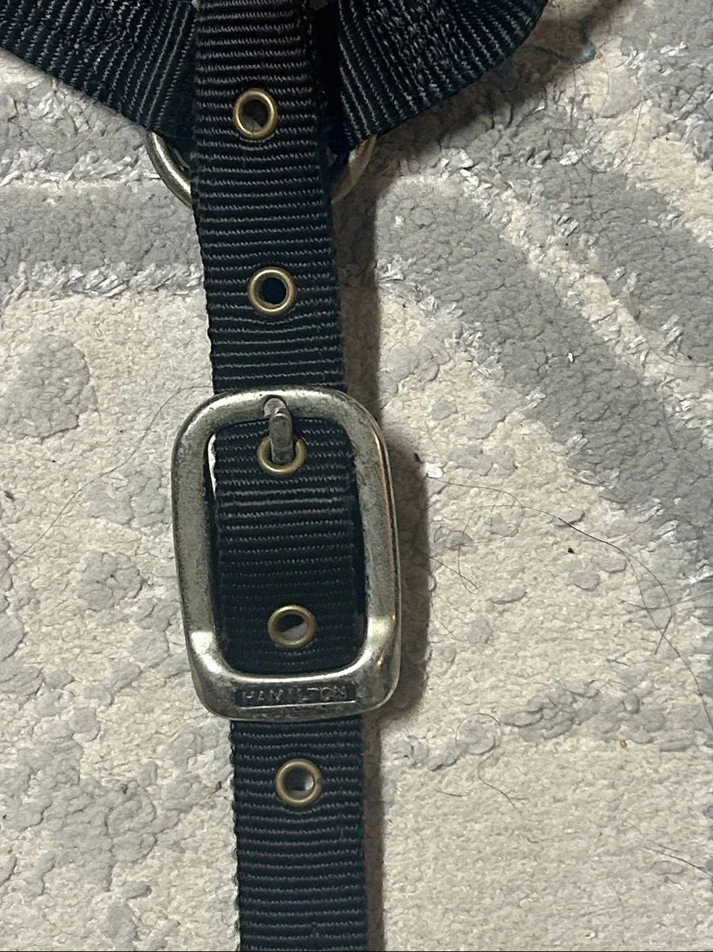 Used Bag strap hardware close-up